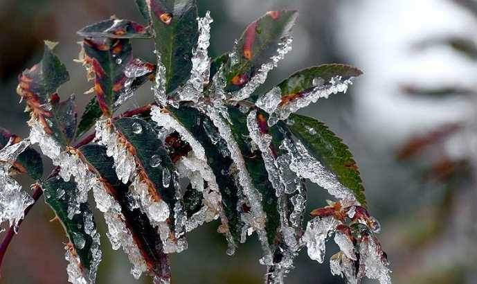 Eskişehir’de sıcaklıklar düşüyor: Zirai don u…