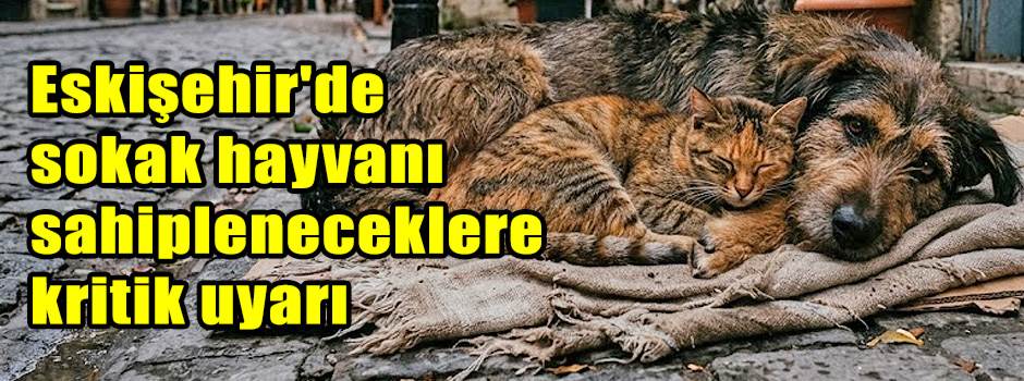 Eskişehir'de sokak hayvanı sahipleneceklere kritik uyarı