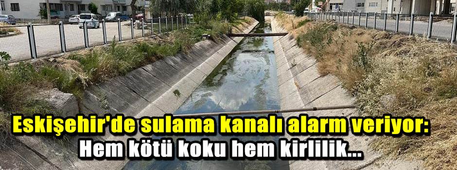 Eskişehir'de sulama kanalı alarm veriyor: Hem kötü koku hem kirlilik...