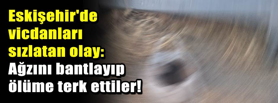 Eskişehir'de vicdanları sızlatan olay: Ağzını bantlayıp ölüme terk ettiler!