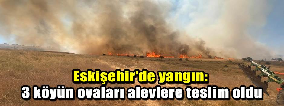 Eskişehir'de yangın: 3 köyün ovaları alevlere teslim oldu