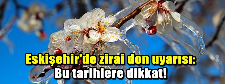 Eskişehir'de zirai don uyarısı: Bu tarihlere …