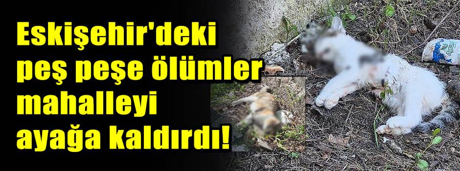 Eskişehir'deki peş peşe ölümler mahalleyi aya…