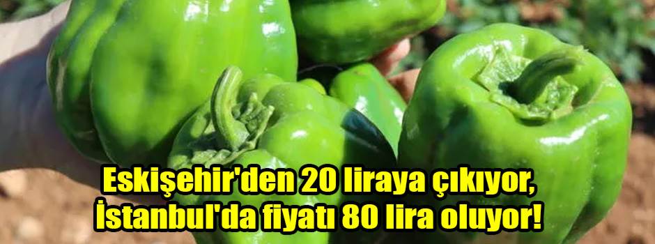 Eskişehir'den 20 liraya çıkıyor, İstanbul'da fiyatı 80 lira oluyor!