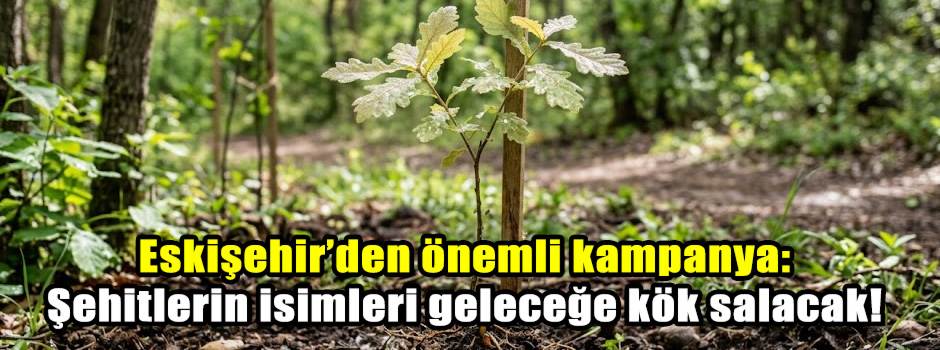 Eskişehir’den önemli kampanya: Şehitlerin isimleri geleceğe kök salacak!