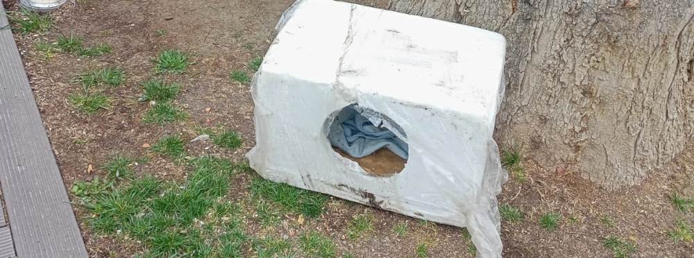 Eskişehir'den sokak hayvanları için örnek davranış