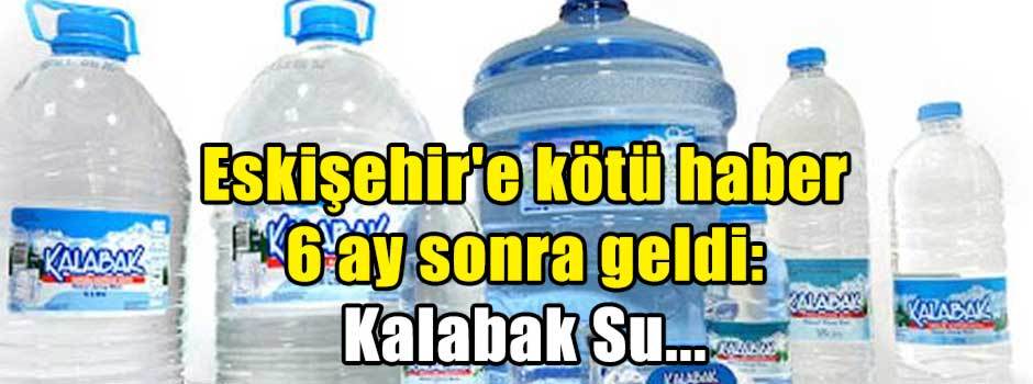 Eskişehir'e kötü haber 6 ay sonra geldi: Kalabak Su...