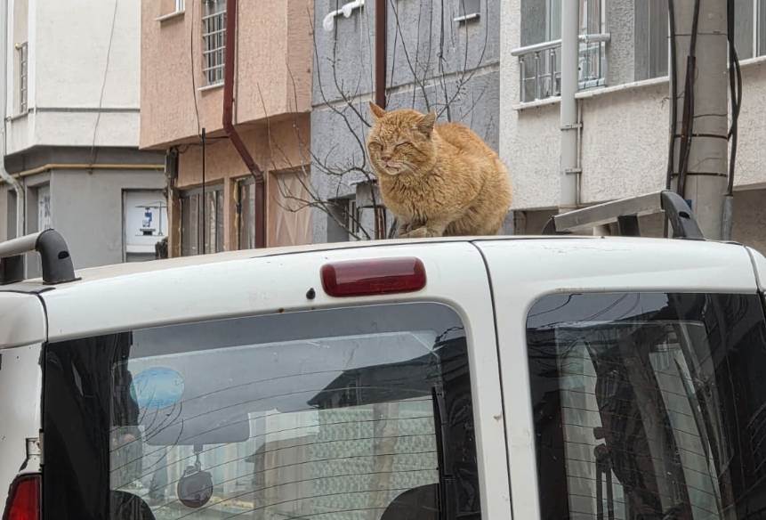 Eskişehir Fatih Mahallesi’nin maskotu: Tombul…