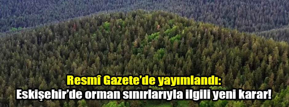 Eskişehir için kritik karar: 41 dönüm artık orman değil!