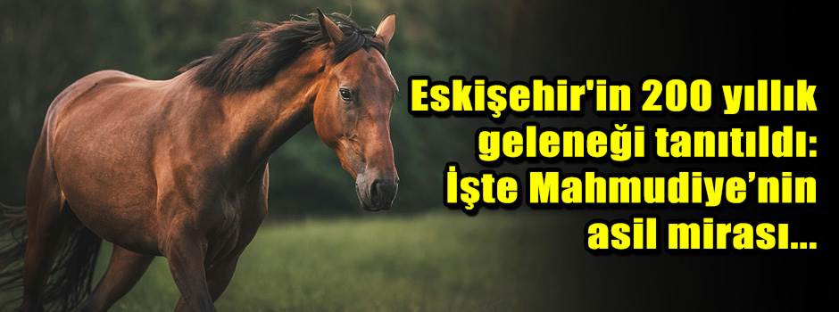 Eskişehir'in 200 yıllık geleneği tanıtıldı: İşte Mahmudiye’nin asil mirası...