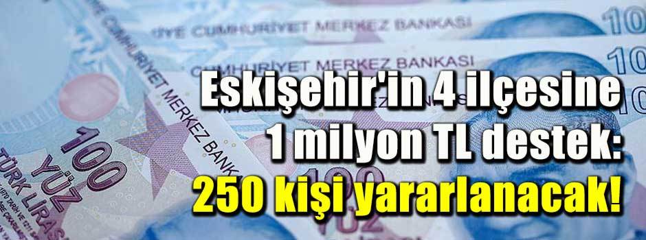 Eskişehir'in 4 ilçesine 1 milyon TL destek: 250 kişi yararlanacak!