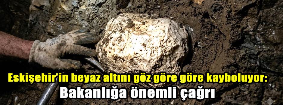 Eskişehir’in beyaz altını göz göre göre kayboluyor: Bakanlığa önemli çağrı