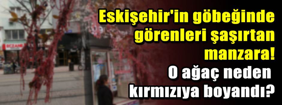 Eskişehir'in göbeğinde görenleri şaşırtan manzara! O ağaç neden kırmızıya boyandı?