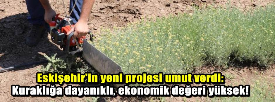 Eskişehir'in yeni projesi umut verdi: Kuraklı…
