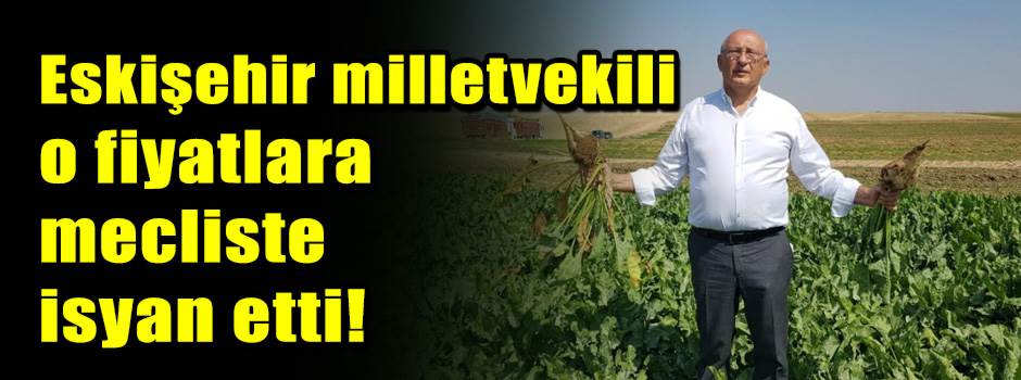 Eskişehir milletvekili o fiyatlara mecliste isyan etti!