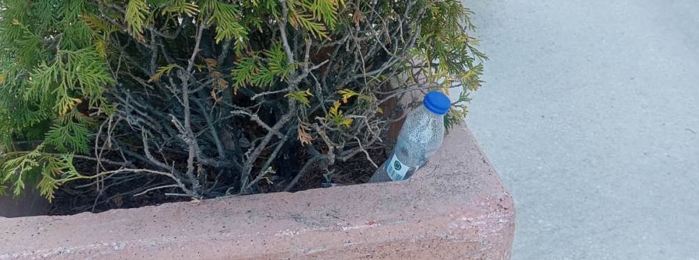 Eskişehir Otogar çevresinde saksılar çöplüğe …