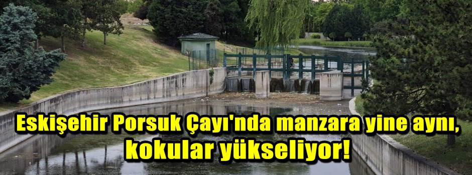 Eskişehir Porsuk Çayı'nda manzara yine aynı, kokular yükseliyor!