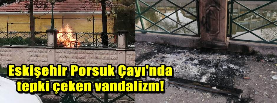 Eskişehir Porsuk Çayı'nda tepki çeken vandali…