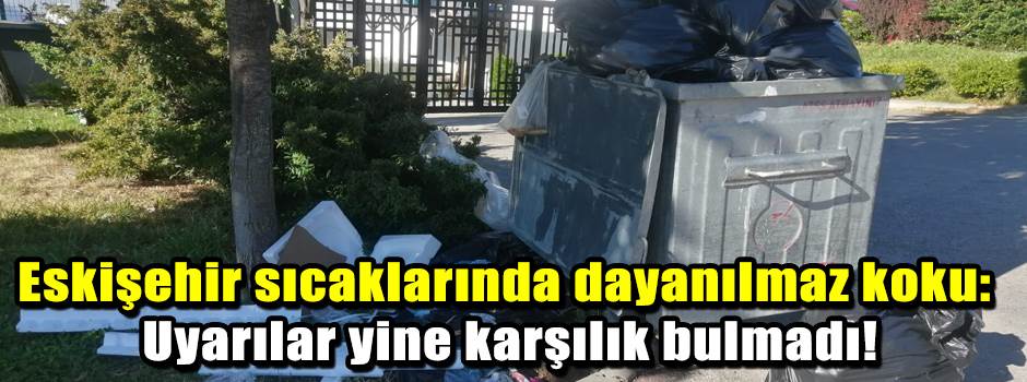 Eskişehir sıcaklarında dayanılmaz koku: Uyarılar yine karşılık bulmadı!