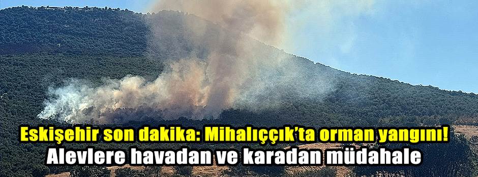 Eskişehir son dakika: Mihalıççık’ta orman yangını! Alevlere havadan ve karadan müdahale