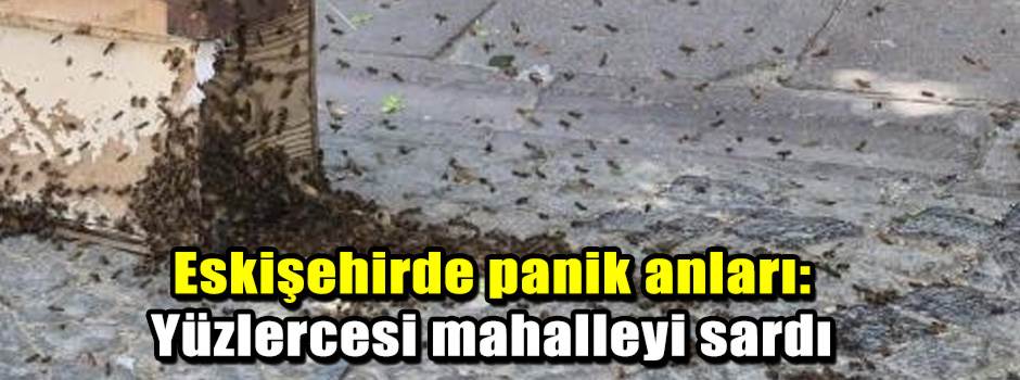 Eskişehirde panik anları: Yüzlercesi mahalley…