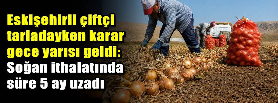 Eskişehirli çiftçi tarladayken karar gece yarısı geldi: Soğan ithalatında süre 5 ay uzadı