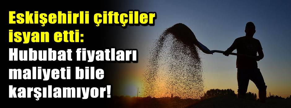 Eskişehirli çiftçiler isyan etti: Hububat fiyatları maliyeti bile karşılamıyor!