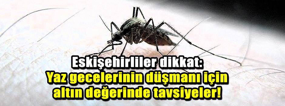 Eskişehirliler dikkat: Yaz gecelerinin düşmanı için altın değerinde tavsiyeler!
