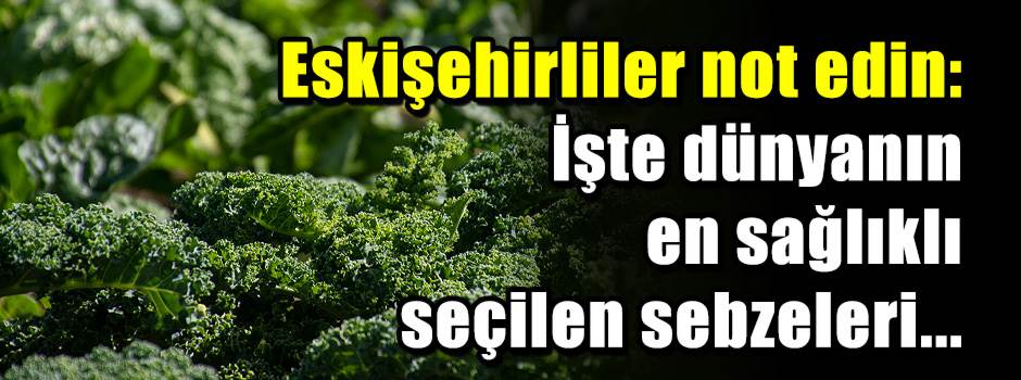 Eskişehirliler not edin: İşte dünyanın en sağ…