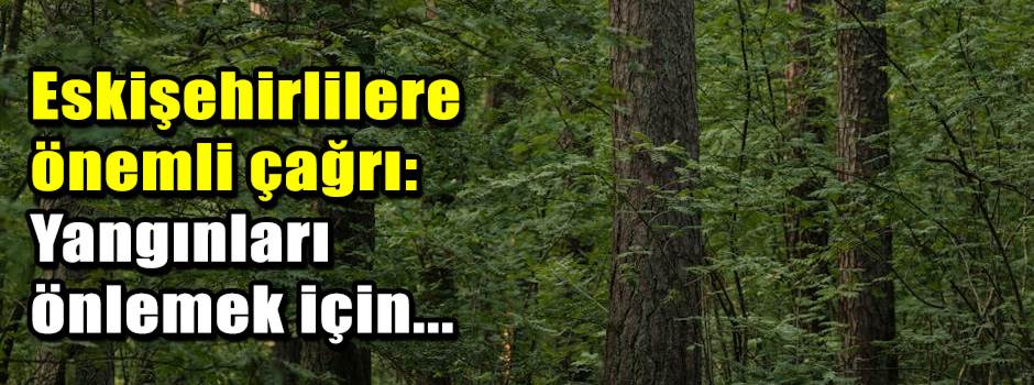 Eskişehirlilere önemli çağrı: Yangınları önlemek için...
