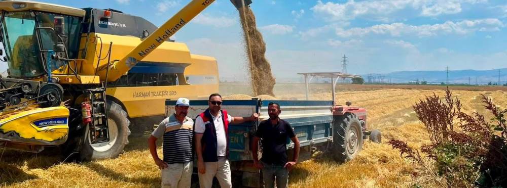 Hububat hasadında sıkı biçerdöver denetimi