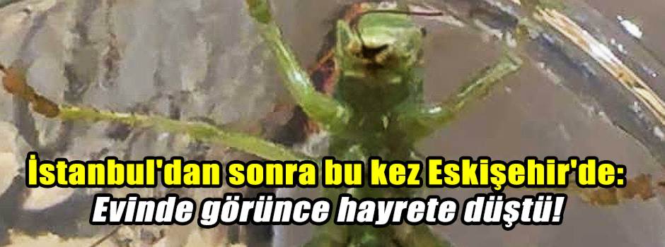 İstanbul'dan sonra bu kez Eskişehir'de: Evind…