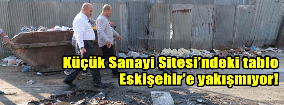 Küçük Sanayi Sitesi’ndeki tablo Eskişehir’e yakışmıyor!