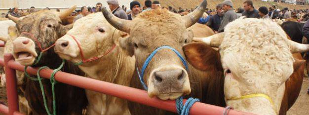 Kurban Bayram Tatili Uzayacak mı? 9 Gün İhtim…