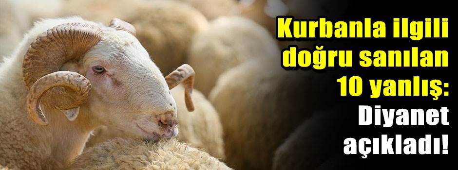 Kurbanla ilgili doğru sanılan 10 yanlış: Diyanet açıkladı!