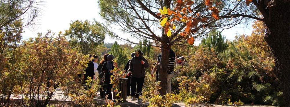 Kütahya'da hayrete düşüren olay: Gediz MYO’da…