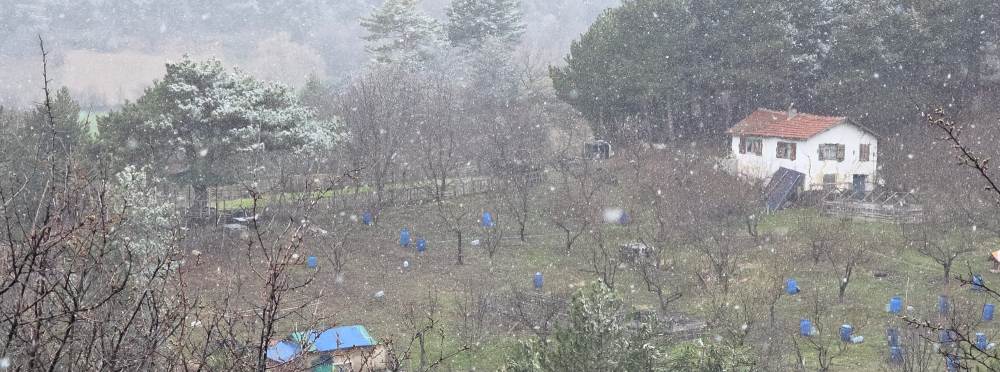 Kütahya’da kar sürprizi: Üretici tedirgin