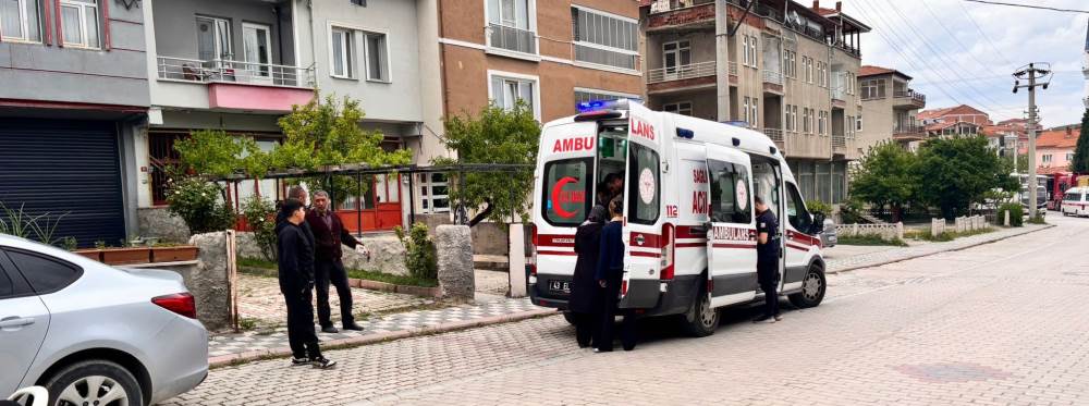 Kütahya’da kediden kaçarken park halindeki ar…