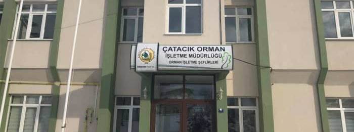 Orman yolu üst yapı yapım işi