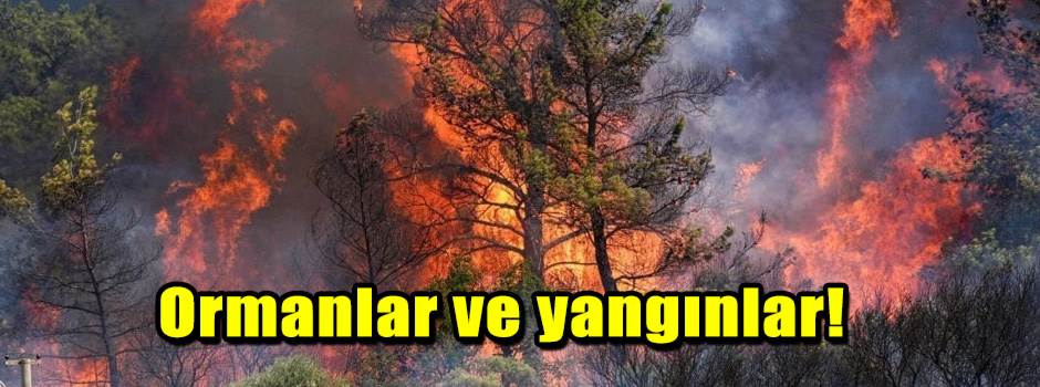 Ormanlar ve yangınlar!