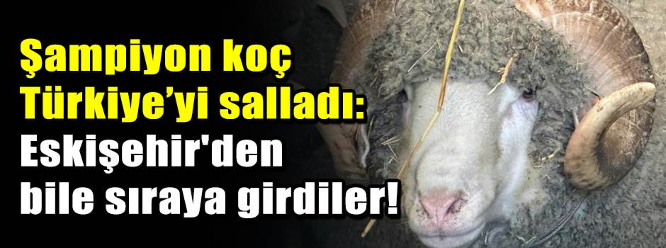 Şampiyon koç Türkiye’yi salladı: Eskişehir'de…