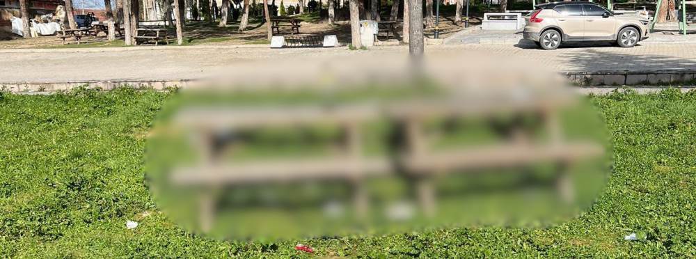 Tarihi alanda utandıran görüntüler: Tepkiler …