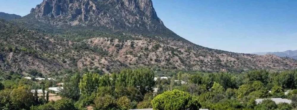 TEMA’dan Alpagut-Atalan için kritik uyarı: "P…