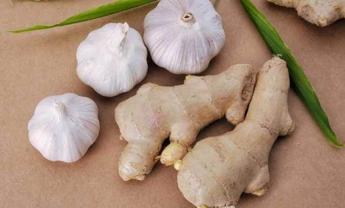 Uzmanından probiyotik, prebiyotik ve bitki çaylarıyla kışa hazırlık önerileri