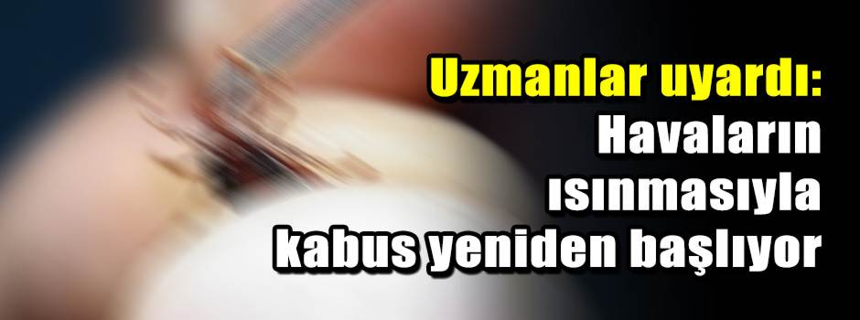 Uzmanlar uyardı: Havaların ısınmasıyla kabus yeniden başlıyor