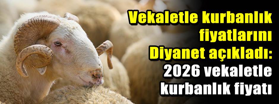 Vekaletle kurbanlık fiyatlarını Diyanet açıkladı: 2026 vekaletle kurbanlık fiyatı